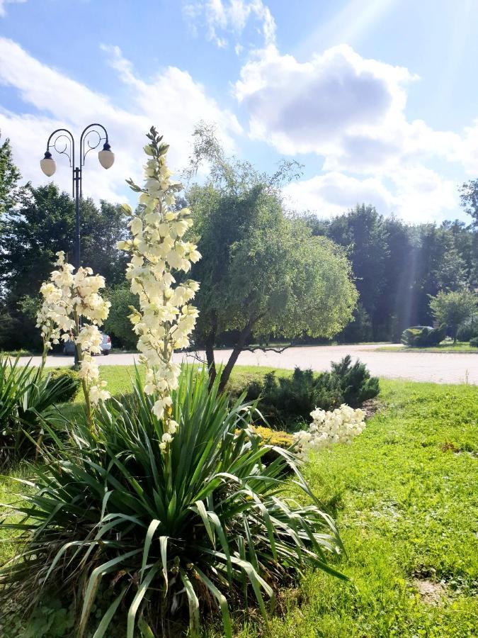 Willa Park Ostrowiec Świetokrzyski Exterior foto